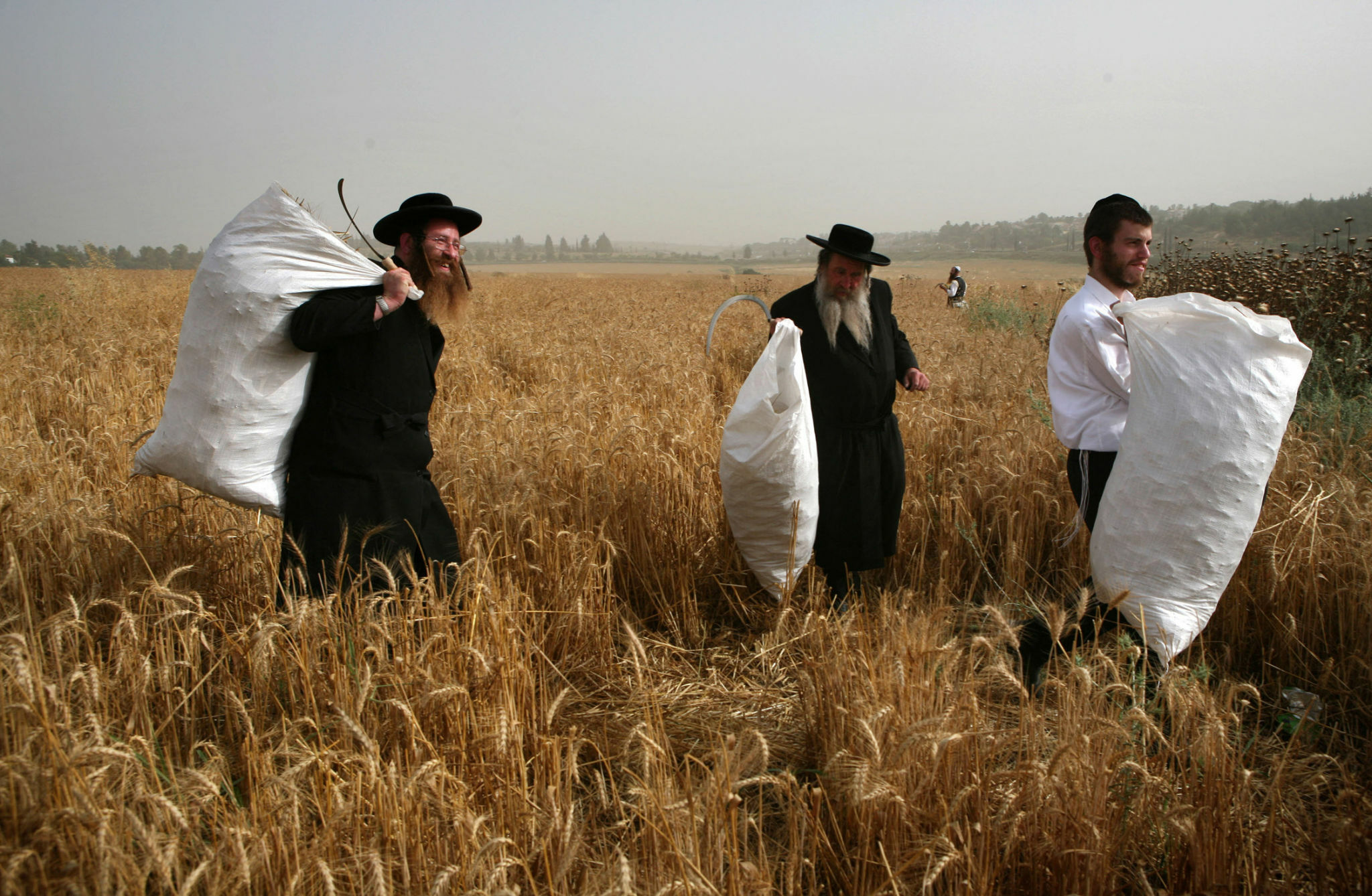 10 Reasons Why Hasidic Jews Carry Plastic Bags?